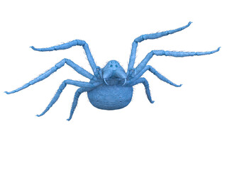 蜘蛛　3DCGレンダリング