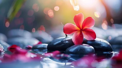 Muurstickers Holistic health concept of zen stones with deep red plumeria flower on blurred background. Text body mind soul. --ar 16:9 Job ID: ba306995-31a6-44ef-a376-89ad4858aa96 © Marry