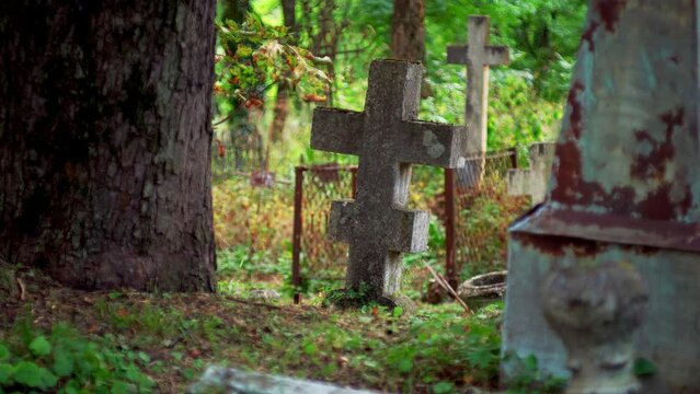 aged stone crucifix in a historic graveyard, glimpsed amidst the foliage. A burial ground from bygone eras, evoking a sense of antiquity and reverence.