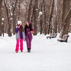 Fototapeta na wymiar Two young happy girlfriends walking in a winter park