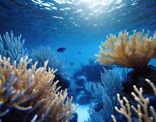 Fototapeta na wymiar Underwater adventure blue seascape