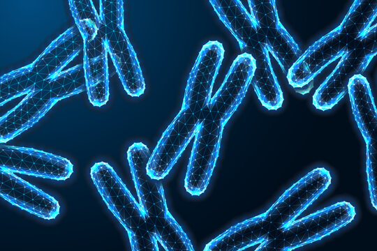 X Chromosomes under microscope on dark blue backgound in futuristic glowing low polygonal style