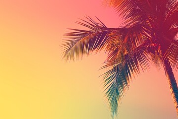 Fototapeta na wymiar Beautiful palm tree against sunset sky background with copy space Generative AI