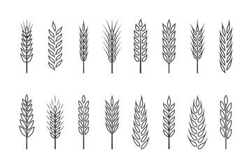 Flat Vector Agriculture Wheat, Cereal Ear Icon Set Isolated. Organic Wheat, Rice Ears. Grain Ear Design Template for Bread, Beer Logo, Packaging, Labels for Farming, Organic Food Concept