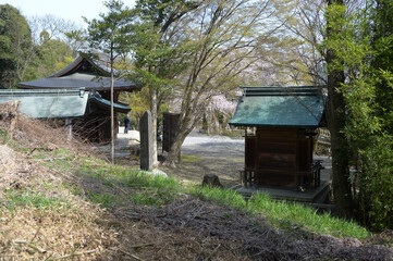 春の大石神社　境内　京都市山科区西野山