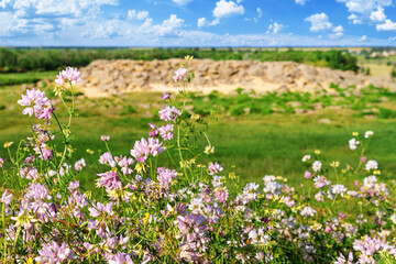 Summer landscape - view of the steppe grass against the background of a sandstone massif, a fragment of the bottom of an ancient prehistoric sea, archeological preserve Kamyana Mohyla, Ukraine