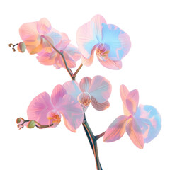 Obraz premium Three pink flowers in vase on Transparent Background