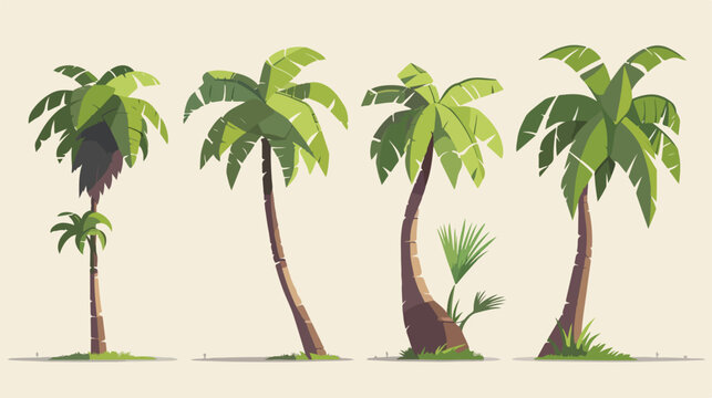 Tree palms nature flat cartoon vactor illustration