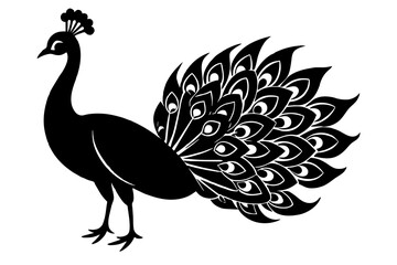 Beauty peacock vector silhouette illustration ,peacock tattoo design icon,logo and vector illustration