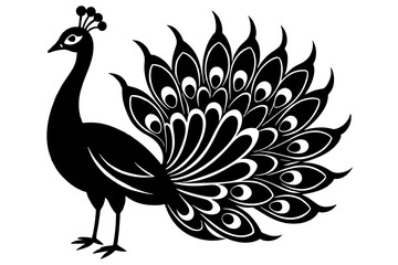 Fototapeta premium peacock with feathers