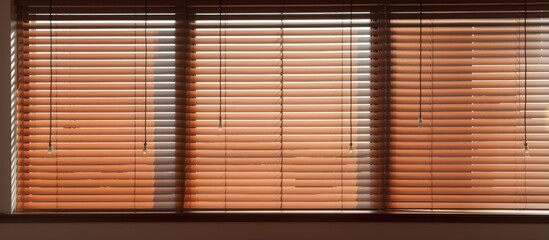 Located in a corner of the room, there is a window featuring closed blinds, adding privacy and blocking out light