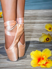 ballet slipper © Anderson