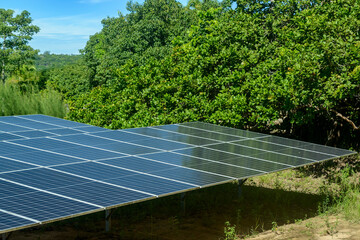 Solar energy panels in a rural green area in Brazil.