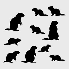 groundhog silhouette collection design