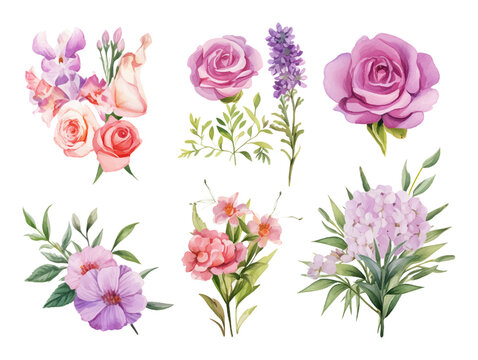 Illustration floral set.Colorful purple floral collection with leaves and flowers,drawing watercolor.Colorful floral collection with flowers beautiful bouquet.Set of floral elements.