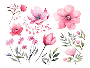 Fototapeta na wymiar A set of flowers painted in watercolor on a white background, including pink flower and green leaves