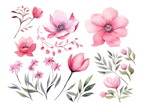 A set of flowers painted in watercolor on a white background, including pink flower and green leaves