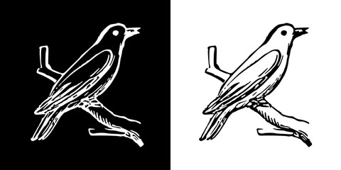 Bird icon. Black icon. Line icon. Black line. Animal. Silhouette