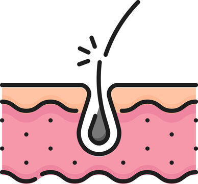 recommend clip art: Brittle hair color line icon for hair health and follicle treatment, outline vector pictogram. Trichology and hair care icon for shampoo, conditioner or haircare beauty cosmetic wash and protection
