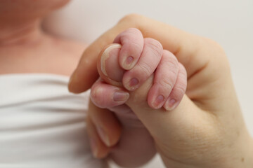 Close-up little hand of child and palm of mother and father. The newborn baby has a firm grip on the parent's finger after birth. A newborn holds on to mom's, dad's finger.