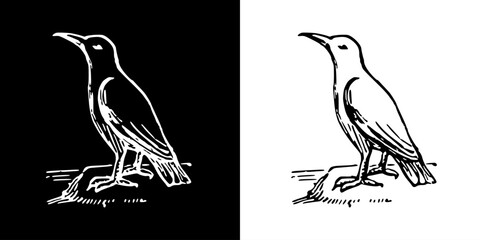 Bird icon. Black icon. Line icon. Black line. Animal. Silhouette
