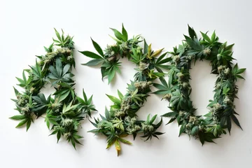 Selbstklebende Fototapeten The number 420 spelled out in cannabis marijuana leaves © ink drop