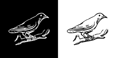Bird icon. Black icon. Line icon. Black line. Animal. Silhouette