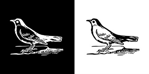 Bird icon. Black icon. Line icon. Black line. Animal. Silhouette
