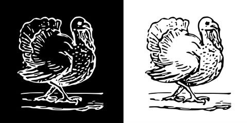 Bird icon. Black icon. Line icon. Black line. Animal. Silhouette