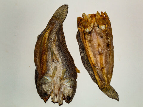 Two Jabirac&aacute;s, dehydrated trairas, genus of carnivorous freshwater fish in the family Erythrinidae, scientific name: Hoplias