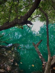 Cenote Azul 