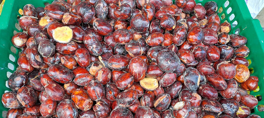 Jengkol seeds (Archidendron pauciflorum) called stinky beans in traditional market	
