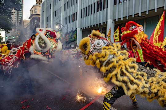 Thrilling Lion Dance Celebrates Chinese New Year in Honolulu