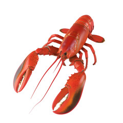 Lobster on transparent background