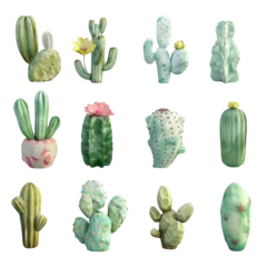 Raamstickers Cactus A close up of a bunch of cactus plants on a Transparent Background