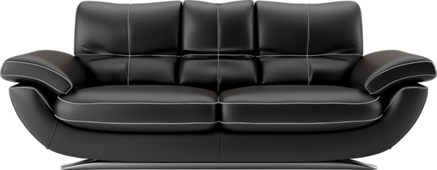 Modern black sofa