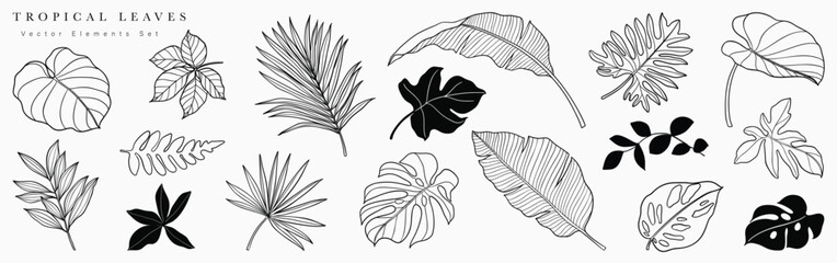 Tropical leaves hand drawn line art and silhouette vector set. Collection of leaf branch, monstera, palm leaves black white drawing contour simple style. Design illustration for print, logo, branding. © TWINS DESIGN STUDIO