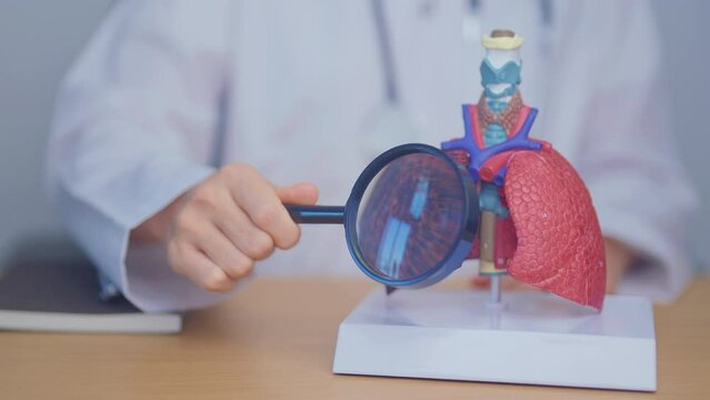 Doctor with Smoker Lung anatomy with magnifying glass. Lung Cancer, Asthma, Chronic Obstructive Pulmonary or COPD, Bronchitis, Emphysema, Cystic Fibrosis, Bronchiectasis, Pneumonia and world Lung day