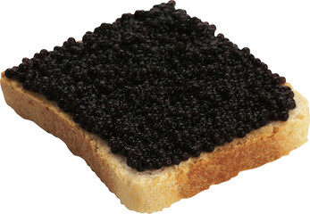 black caviar on bread isolated
