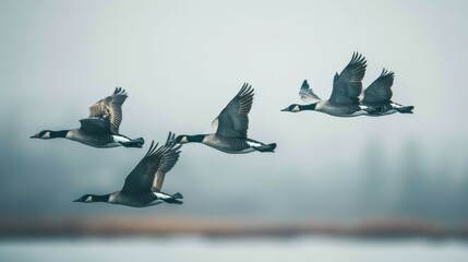 A flock of birds flying in formation  AI generated illustration