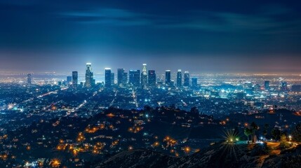 Fototapeta na wymiar view of the city of Los Angeles at night from a high hill