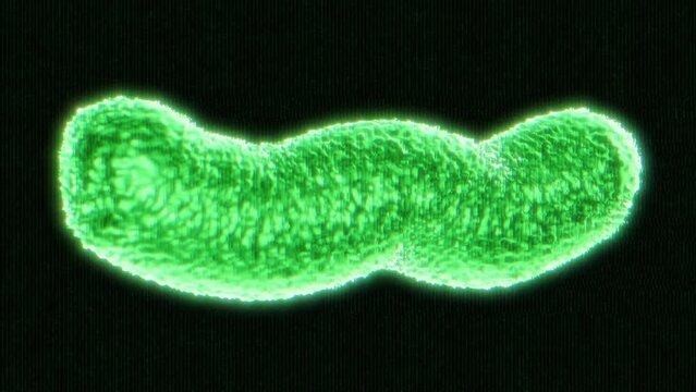 3d animation of a biology virus parasite on a green  science biology background