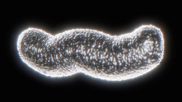 Medical virus parasite science biology in 4k resolution
