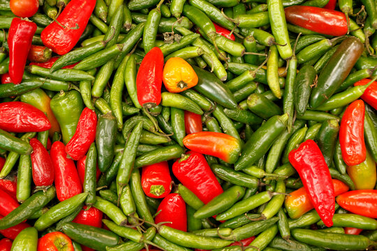 Chille pepper