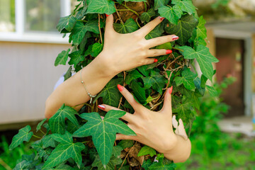 A woman's hands are wrapped around a green ivy plant