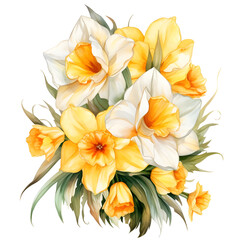 Fototapeta premium Watercolor frame, Daffodil, botanical illustration isolated on white background, Ideal for stationery, invitations, save the date.