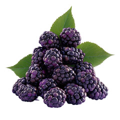 Fototapeta premium A close up of a pile of blackberries with leaves