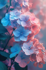 Colourful Hydrangea flower in the mist and fog, vertical background