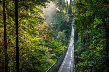 Capilano Suspension Bridge Park, a popular tourist attraction where tourists walk over river and...