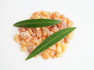 Frankincense or olibanum aromatic resin isolated on white background used in incense and perfumes.